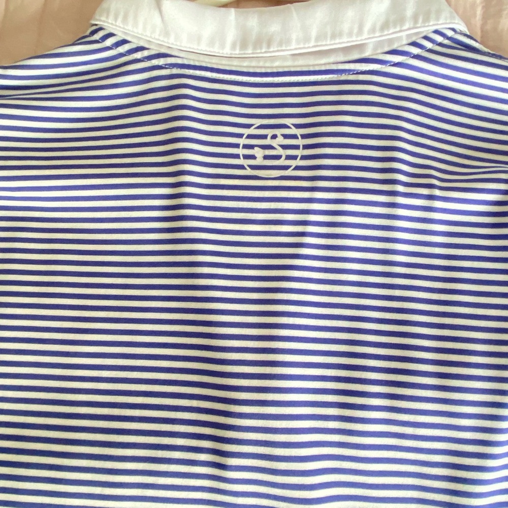 Blue and White Striped Polo Shirt
